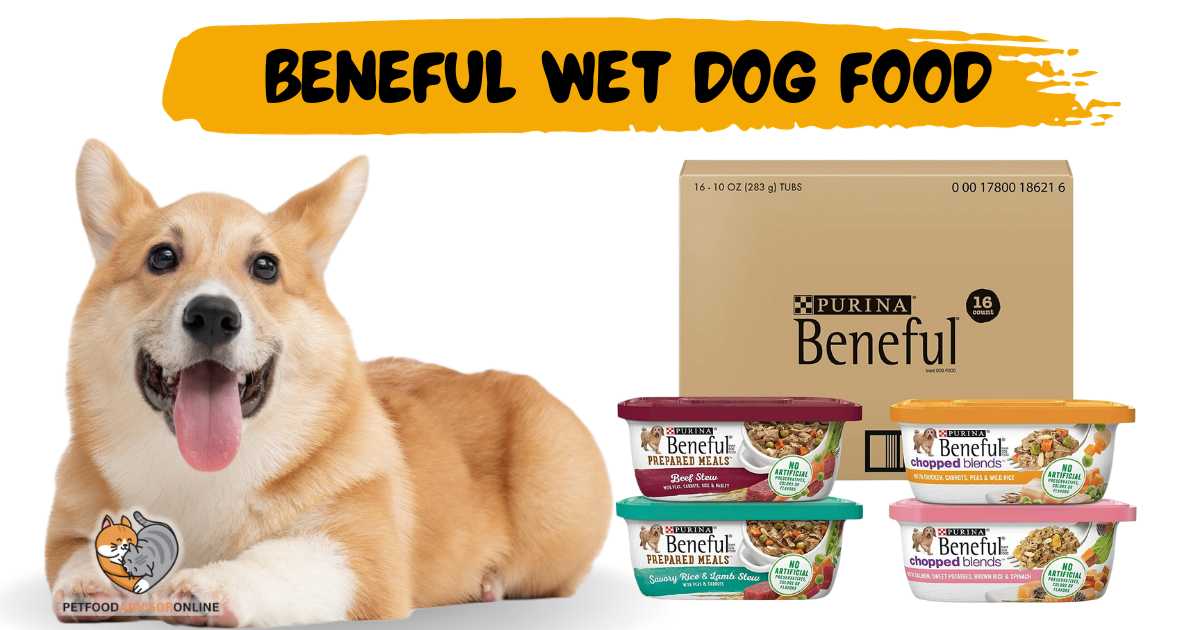 Beneful wet dog food