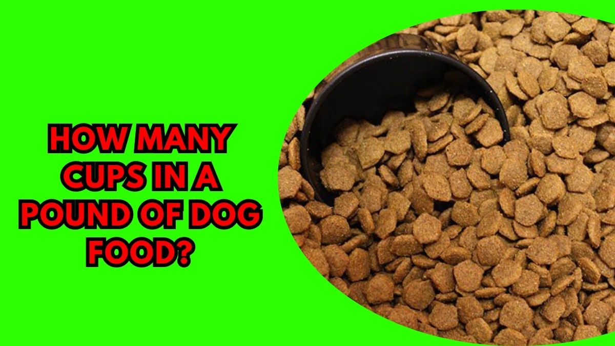 How Many Cups in a Pound of Dog Food