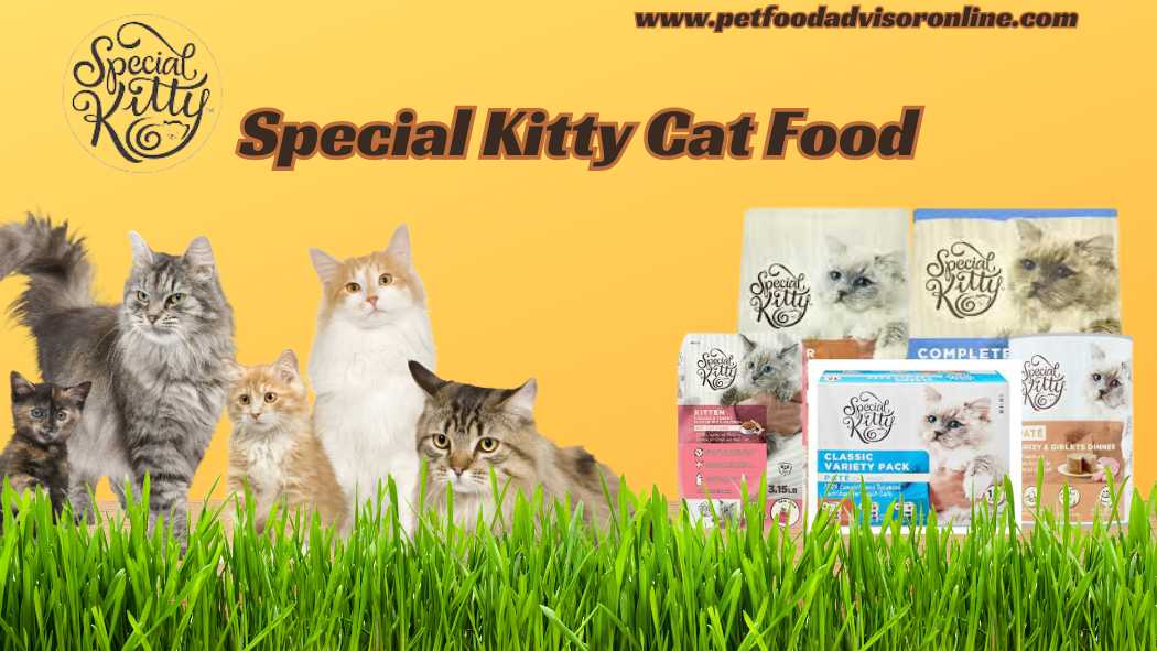 Special Kitty Cat Food